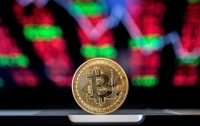 Мошенники присвоили Bitcoin инвесторов на полмиллиона долларов