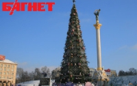В Киеве будет работать 86 точек по продаже натуральных елок