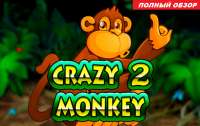 Обзор игрового слот автомата Crazy Monkey 2