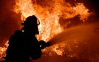 На Черкасщине во время пожара погибли четверо детей, которых мать заперла в доме