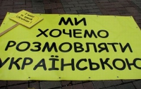 На Донетчине День Конституции отметили протестами против закрытия украинских школ 