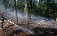 Под Киевом возросло количество пожаров в экосистемах