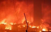 В Украине на пожарах погибли 32 человека