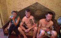 Полиция схватила 3 банды наркоторговцев за несколько дней