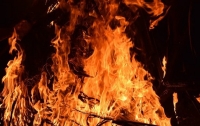 Страшный пожар под Киевом: погибла женщина