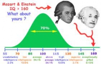 Лишний год в школе повышает IQ