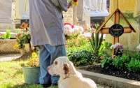 В США собака отказалась покидать могилу хозяина