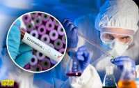 Германия начинает испытание вакцины от коронавируса на людях