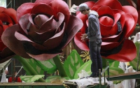 Калифорния готовится к «Параду Роз» (ФОТО) 