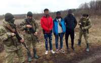 На границе с Польшей сотрудники ГПСУ задержали троих африканцев