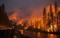 Рекордное число лесных пожаров зафиксировали в Финляндии