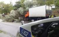 В Киеве грузовик вылетел с мокрой дороги в дерево