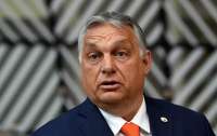 Орбан на переговорах с Зеленским продвигал 