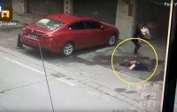 На китаянку с неба упала собака, женщину госпитализировали (видео)