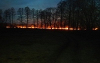 В Киеве и в пригороде начались серьезные травяные пожары