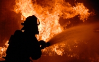 Масштабный пожар на Закарпатье: сгорела база отдыха