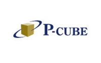 pCube – открытие сезона