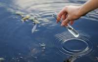 Превышение кишечной палочки: более 17% проб воды из мест купания не соответствуют нормам