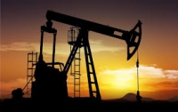 Цены на нефть стремятся к нулю