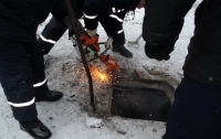 В Донецке бойцы МЧС спасли лошадь, провалившуюся в люк