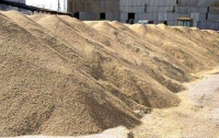 Запрет экспорта зерна – сознательное уничтожение сотен тысяч тонн урожая