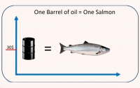 Норвежский лосось стал дороже нефти