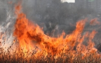 Под Житомиром пожилые супруги сжигали траву и сгорели заживо