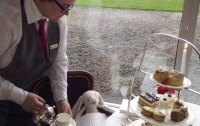 Девочка забыла плюшевого кролика в отеле, а персонал устроил ему незабываемый отдых