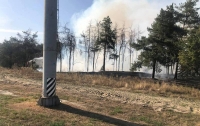 Возле столичного метро загорелся лес