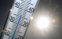 Ученые предсказали пятикратное увеличение смертности от жары
