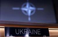 Вступление Украины в НАТО: Зеленскому сделали предупреждение перед саммитом в Вашингтоне