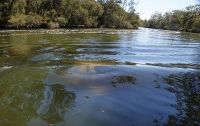 На Львовщине автомобиль слетел в реку, водитель погиб