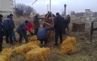 Из канализационного колодца спасатели МЧС вытащили коня