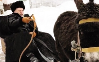 Жириновский избавился от осла, над которым поиздевался в ролике