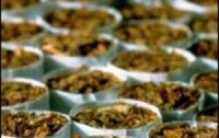 Налоговики фиксируют рост табачной контрабанды
