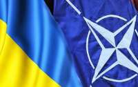 Литва готова содействовать в получении Украиной ПДЧ с НАТО