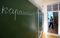Грипп и ОРВИ в Киеве: уже 20 школ остановили занятия