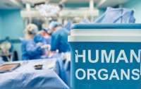 У яких лікарнях можна зробити трансплантацію органів: у МОЗ дали роз'яснення