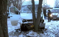 Страшное ДТП в Кривом Роге: «Mitsubishi Lancer» протаранил маршрутку (ФОТО)