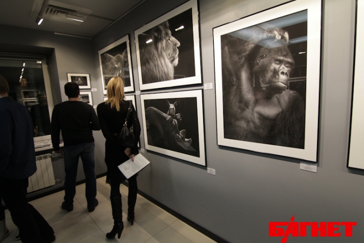 Фотогалерея клиники лазерной эпиляции «Лазер Хаус»в Краснодаре. 🌺