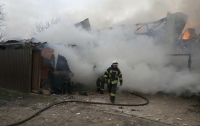 Пожар на Русановских садах в Киеве ликвидирован
