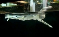Японцы создали робота-пловца
