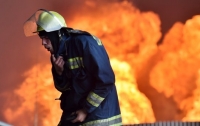 В Запорожье пылала многоэтажка: спасли троих детей и 11 взрослых