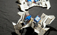 Ученые создали уникального робота-оригами