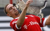 Во время ответственной игры на головах суровых футболистов появились котята (ФОТО) 