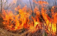 Трижды за сутки на Кировоградщине тушили пожары сухостоя