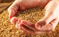 Кабмин отменит мораторий на экспорт зерна до конца года 