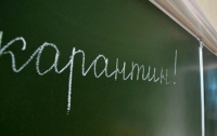 Во всех школах пригородов Киева объявлен карантин